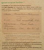 19a - A quoi servent les herbiers (1).jpg